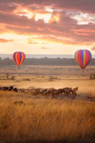  Hot air Balloon thrill Of The Mara